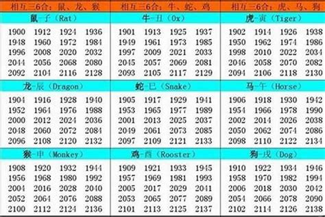 2002年 生肖|2002年出生的属什么,2002年是什么生肖